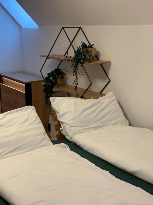 Studio Im Zentrum Tiki 2, Naehe Bergbahn Apartment Hinterstoder Bagian luar foto